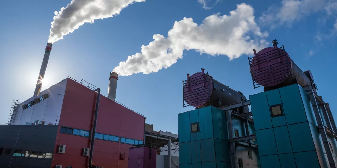 Elektrana na biomasu koju je izgradila tvrtka Polytechnik (izvornik: Polytechnik, 2013.) 
- NE SMIJE se koristiti ako članak nema veze s Polytechnikom

• Polytechnik, elektrane na biomasu