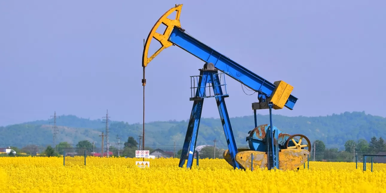 Naftna bušotina u polju repice (izvornik: Belu Gheorghe / Shutterstock, 2021.)

• bušotine, nafta, istraživanje nafte i plina, proizvodnja nafte i plina