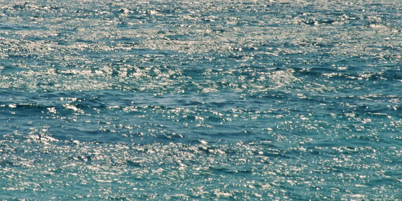 Morska površina (foto: Tonka, 2005.)
• more, Jadransko more