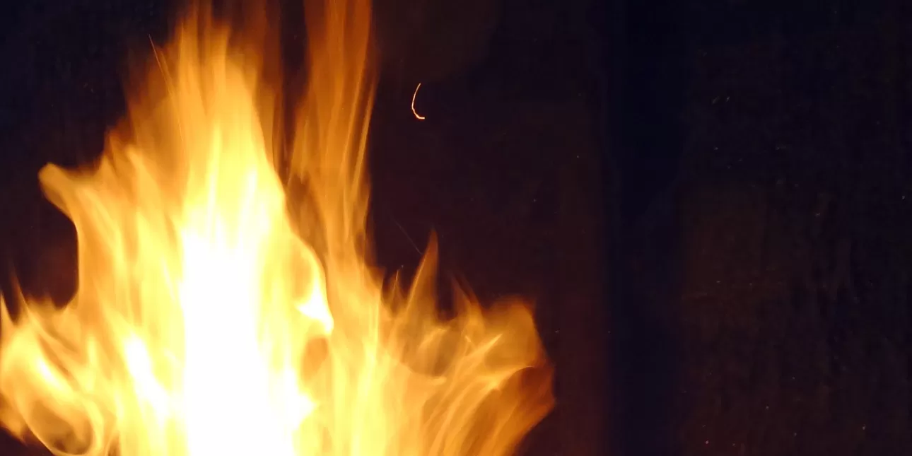 Plamen požara (foto: Tonka, 2014.)

• plamen, vatra, požar