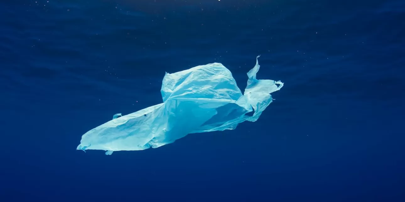 Plastična vrećica neodgovorno odbačena u okoliš (FOTO: Oleksandr Sushko/Unsplash; 2023.) - plastične vrećice; plastični otpad; plastika