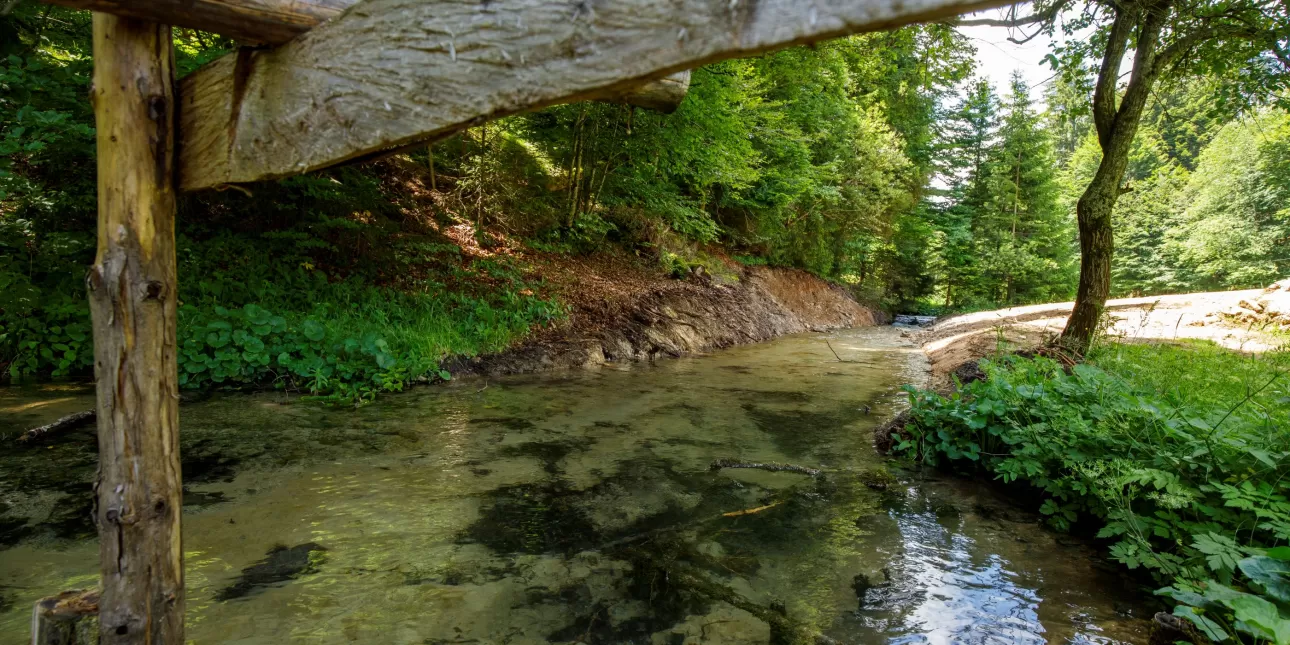 Uklanjanje barijera na toku Bijele rijeke u NP Plitvička jezera (izvornik: Darko Mihalić / WWF Adria, 2024.)

• NP Plitvička jezera, Plitvička jezera, rijeke 