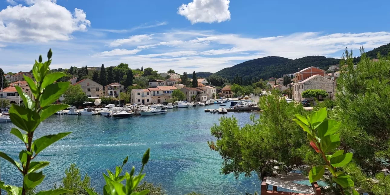 Žman na Dugom otoku (izvornik: MRRFEU, 2024.)

• Dugi otok, otoci, Zadarska županija