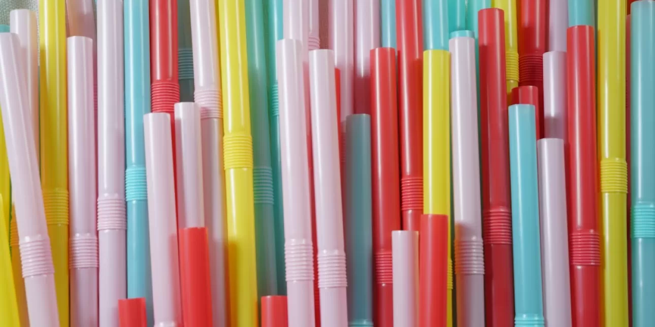 plastične slamke, 2024.