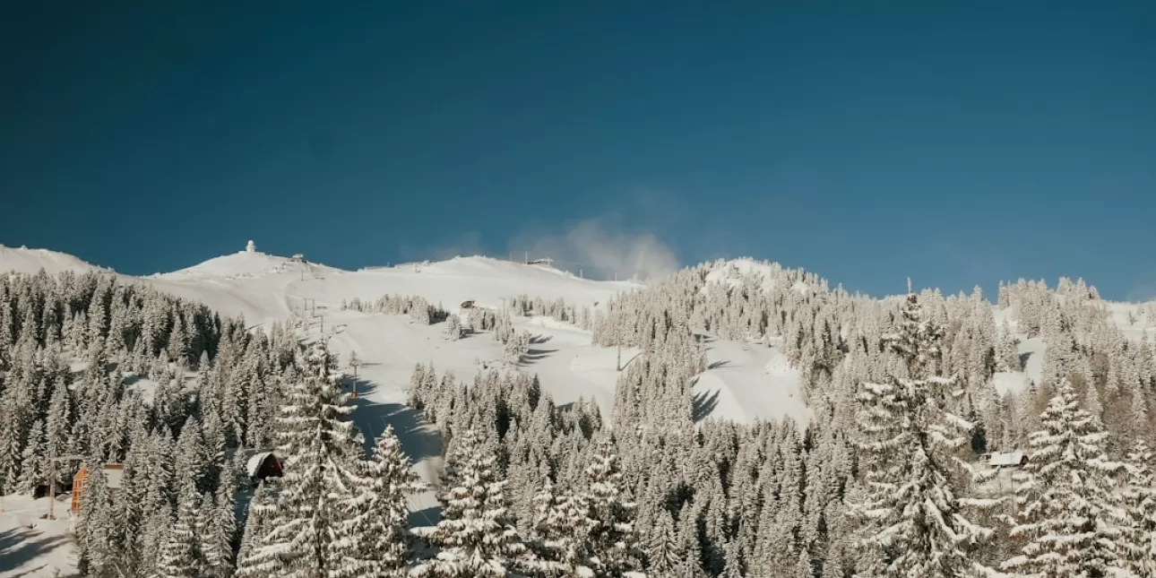 Jahorina (FOTO: Nenad Radojčić/Unsplash; 2024.)
 - Jahorina; planine; Bosna i Hercegovina, 
