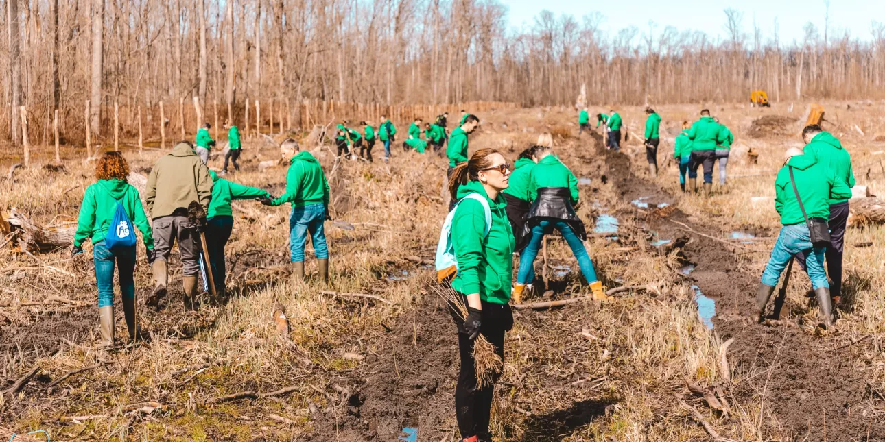 U sklopu najvećeg samostalnog projekta pošumljavanja u Hrvatskoj 'Volim šume!' kojeg Dukat provodi od 2021., spačvanska je šuma obnovljena s novih 16 tisuća sadnica hrasta lužnjaka (FOTO: Dukat/Agencija 404; 2025.)
 - Dukat; pošumljavanje 
