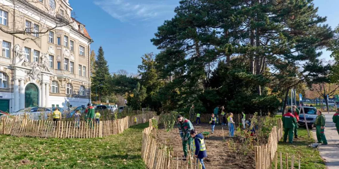 Bečki klimatski tim (izvornik: Grad Beč, srpanj 2025.) • Beč, zeleni projekti, Bečki klimatski tim