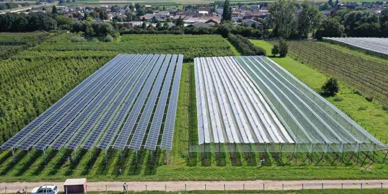 Agrosunčane elekrane u Makedoniji (izvornik: M.T., listopad 2025.) • Agrosunčane elekrane, Makedonija 