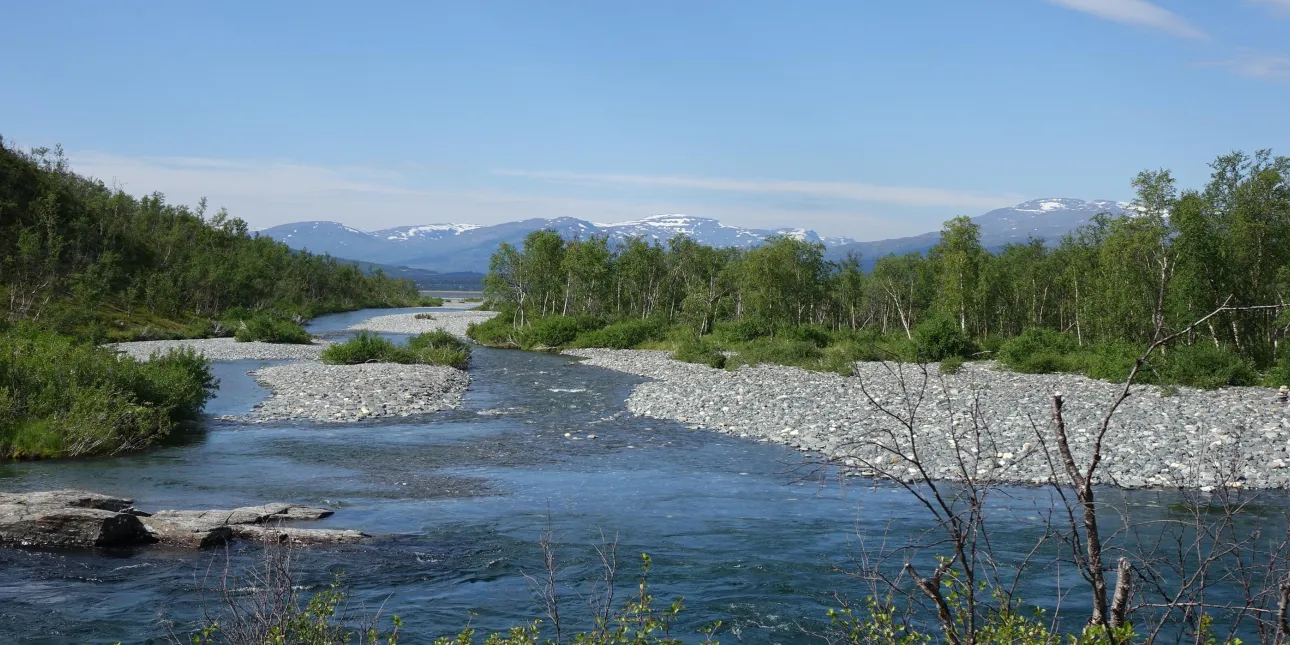 Rijeka Abisko u istoimenom nacionalnom parku na sjeveru Švedske (izvornik:  ros4860 from Pixabay, 2026.)

• Švedska, Skandinavija, priroda, rijeke, nacionalni parkovi